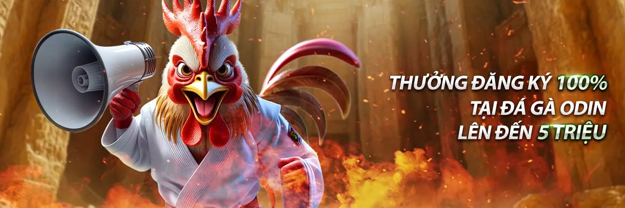 Các chương trình khuyến mãi và ưu đãi tại Trực Thomo